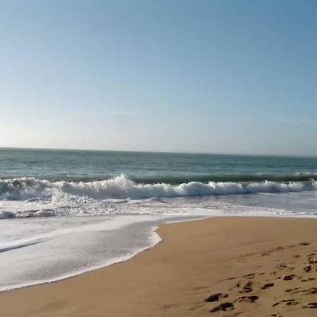 Ferienhaus Maisonnette Ensoleillee, A 100m De La Plage, Animaux Sur Demande