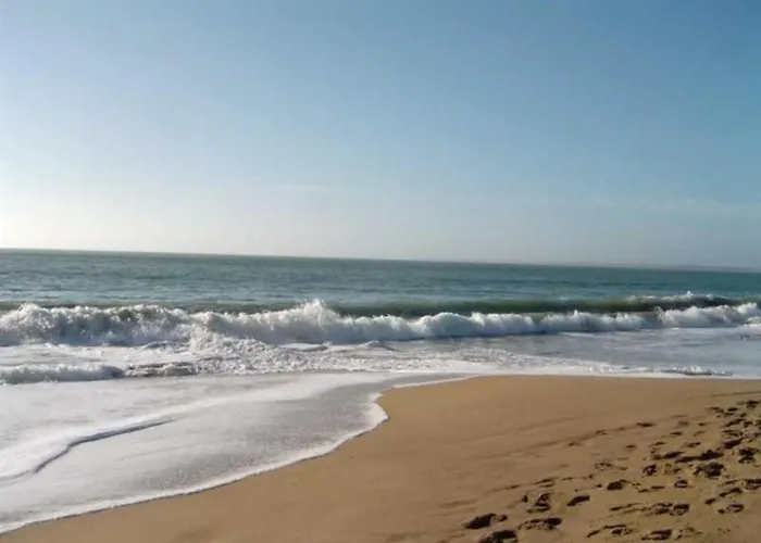 Hébergement de vacances Maisonnette Ensoleillée, à 100m De La Plage, Animaux Sur Demande - Fr-1-476-45